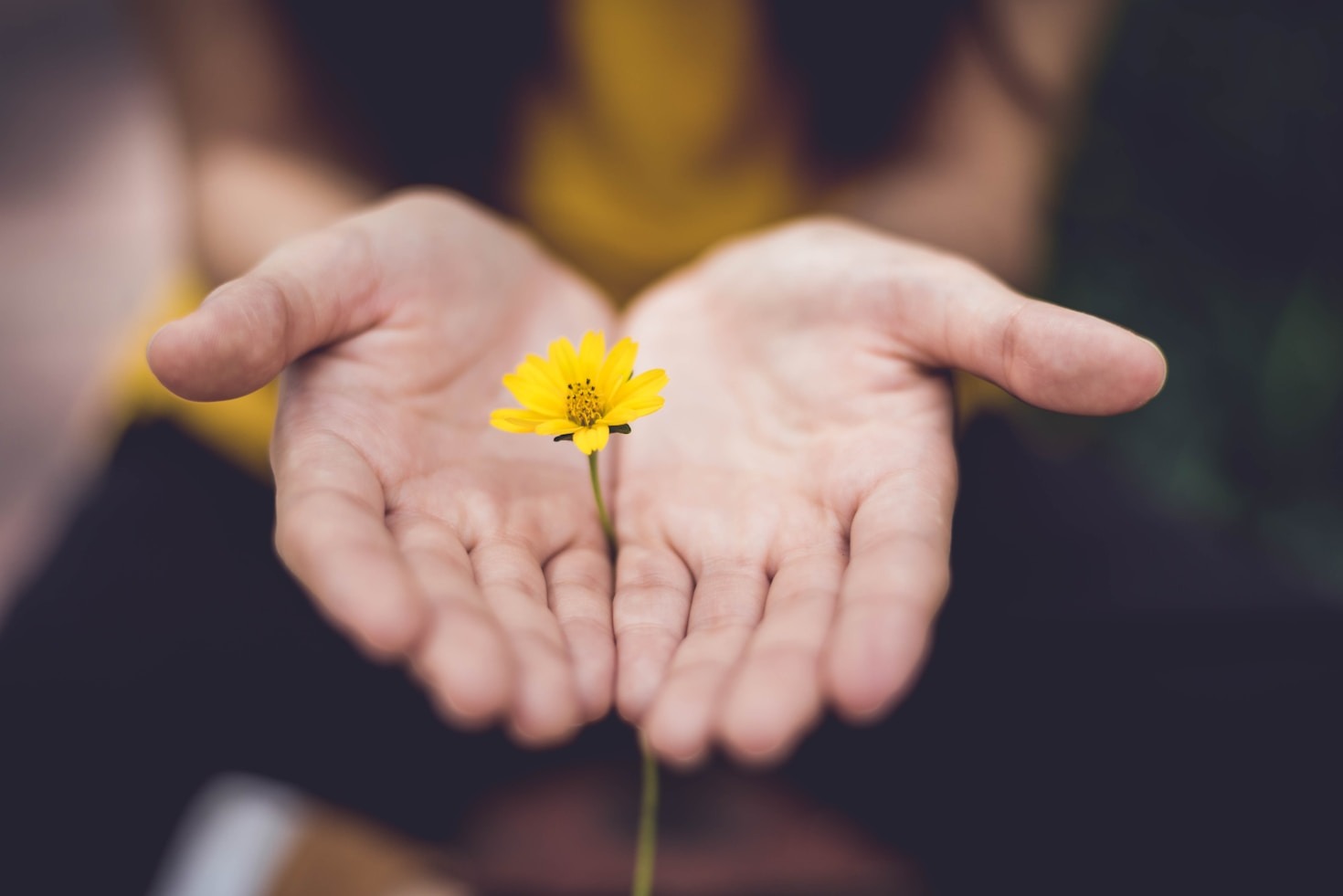 5 Benefícios Surpreendentes da Terapia Holística